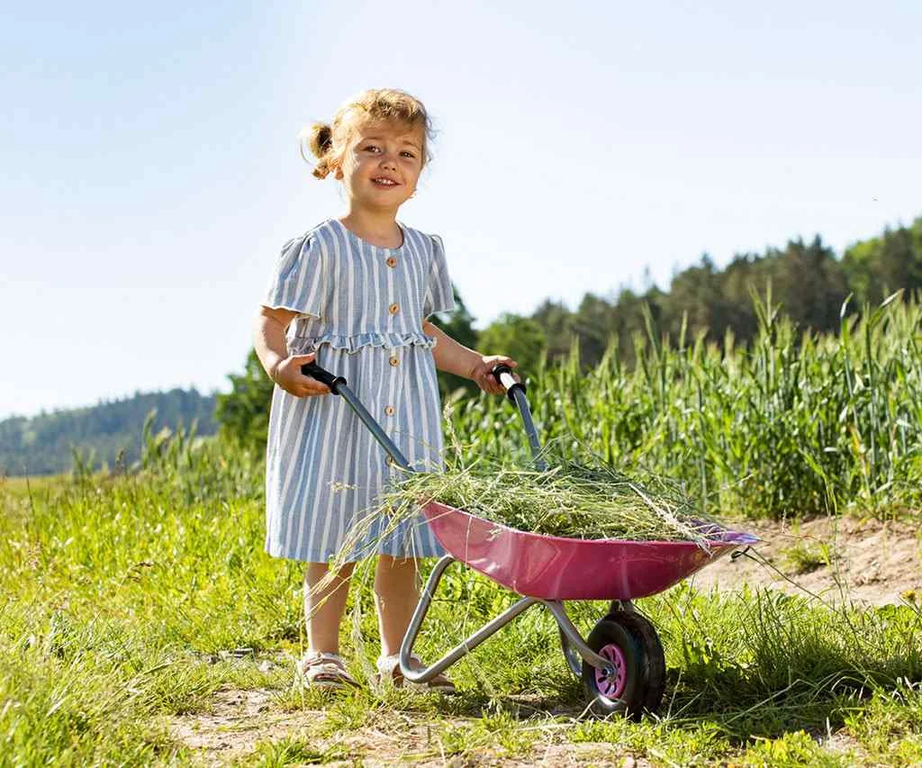 Dětské zahradní kolečko kovové Milly Mally Rolly Toys růžové